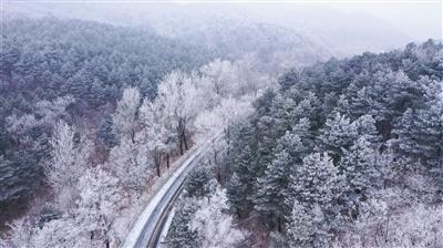 最新!镇平县最全的交通违法处理窗口、时间,都在这儿了!